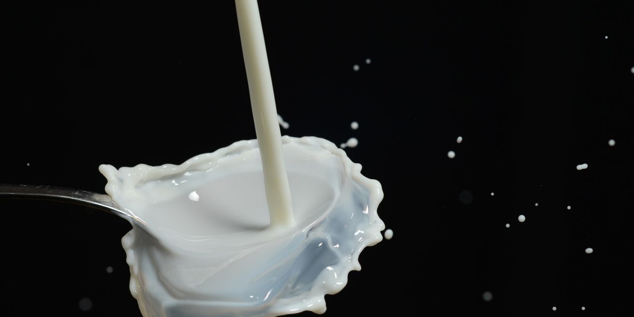 NUTRITION : Le lait, notre ami pour la vie ou ennemi public n°1 ?