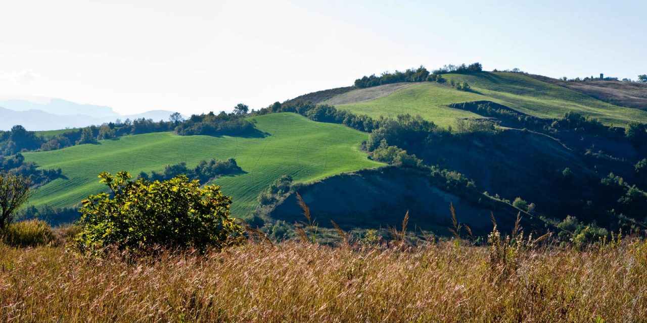 IRONMAN ANNONCE LE PREMIER LONGUE DISTANCE IRONMAN EN ITALIE