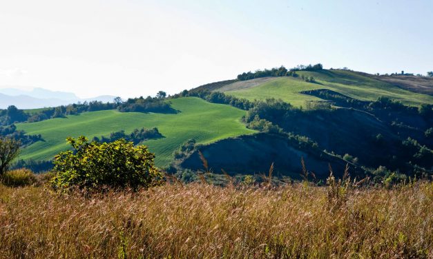 IRONMAN ANNONCE LE PREMIER LONGUE DISTANCE IRONMAN EN ITALIE