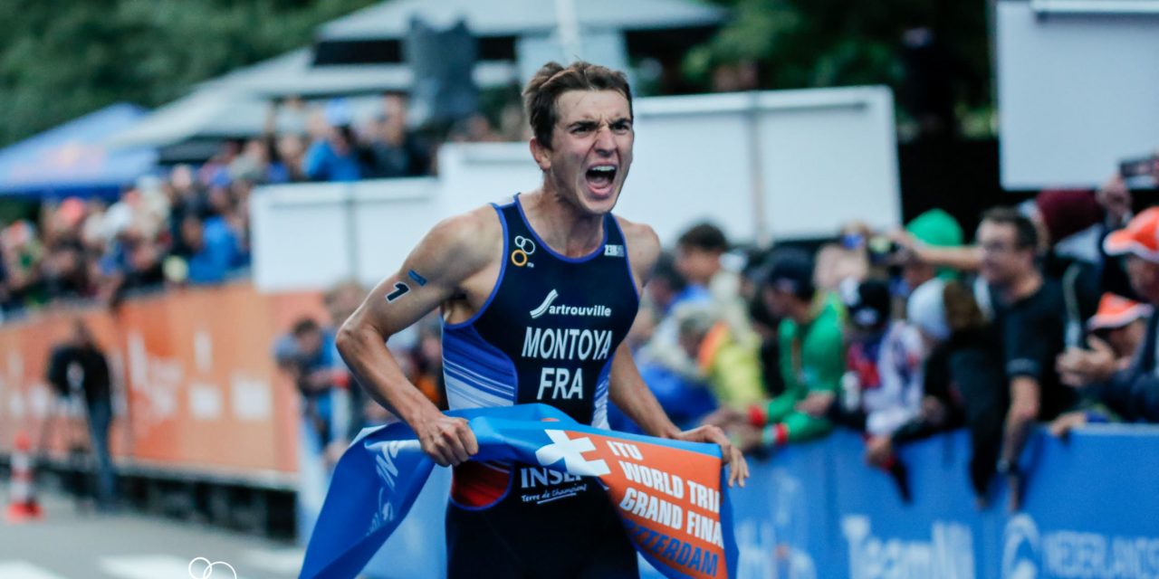 Une moisson en Or – Championnat du Monde Rotterdam