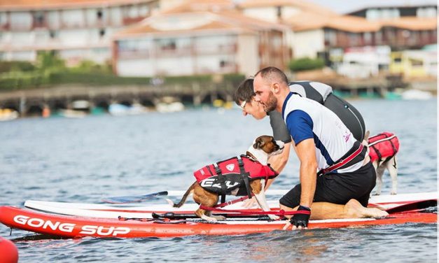 CANI-TRIATHLON 2017 Dimanche 8 octobre – Vieux-Boucau-les-Bains