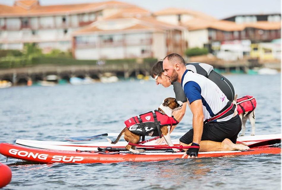 CANI-TRIATHLON 2017 Dimanche 8 octobre – Vieux-Boucau-les-Bains