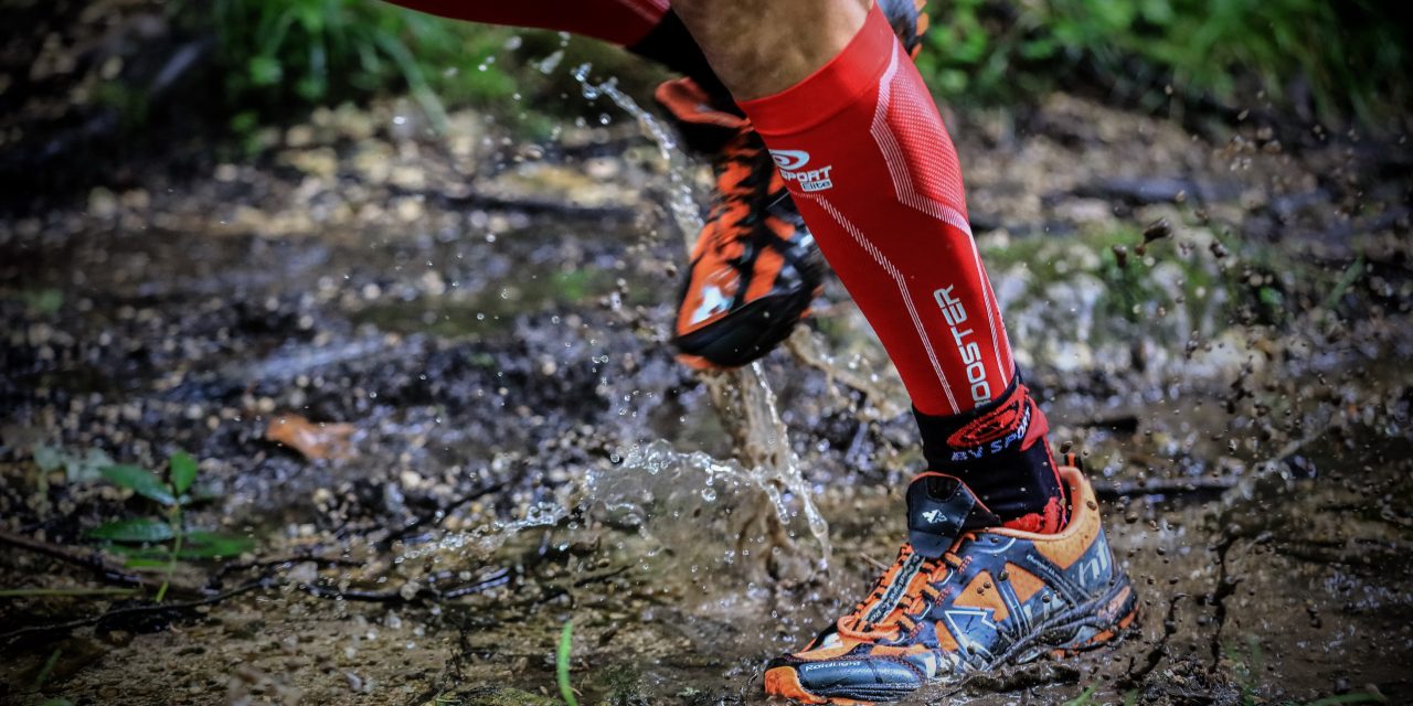 BV SPORT – L’utilisation croissante de la compression