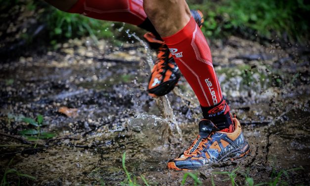 BV SPORT – L’utilisation croissante de la compression