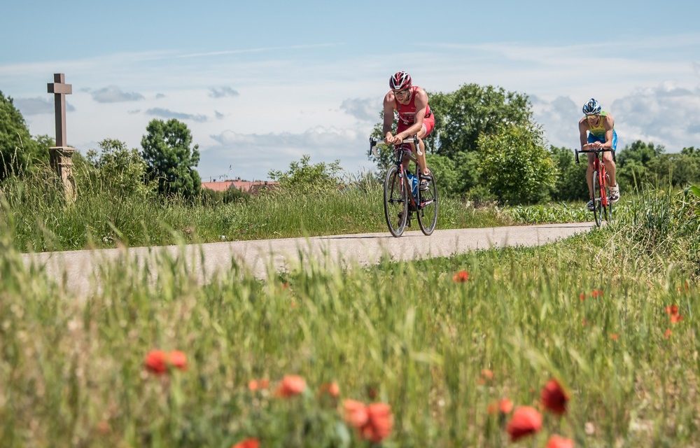 Obernai-Benfeld innove et peaufine son offre