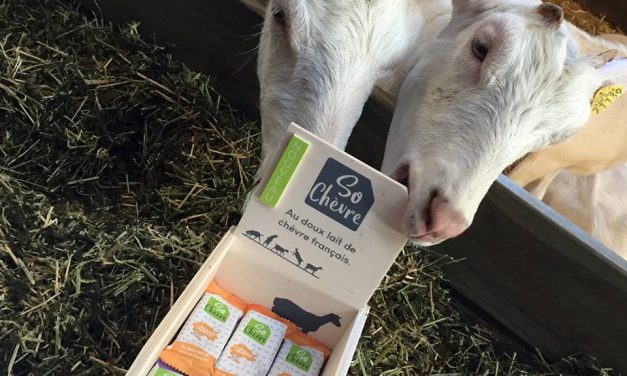 So Chèvre : nouvelle marque de nutrition sportive !