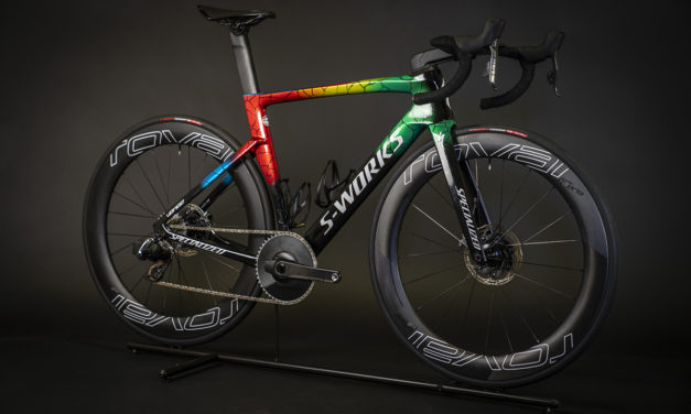 SPECIALIZED | Le S-Works Venge Champion du Monde ITU 2019 de Vincent Luis