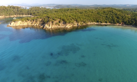 T24 XTREM TRIATHLON :  Ile de Ré, Le Touquet et Bormes-les- Mimosas : 3 coups de foudre pour le T24 !￼