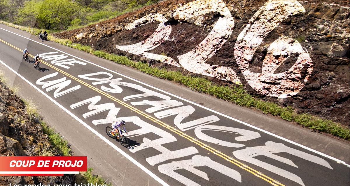 Le magazine 226 est en ligne