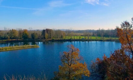 LOW TRIATHLON : Le triathlon le moins cher !