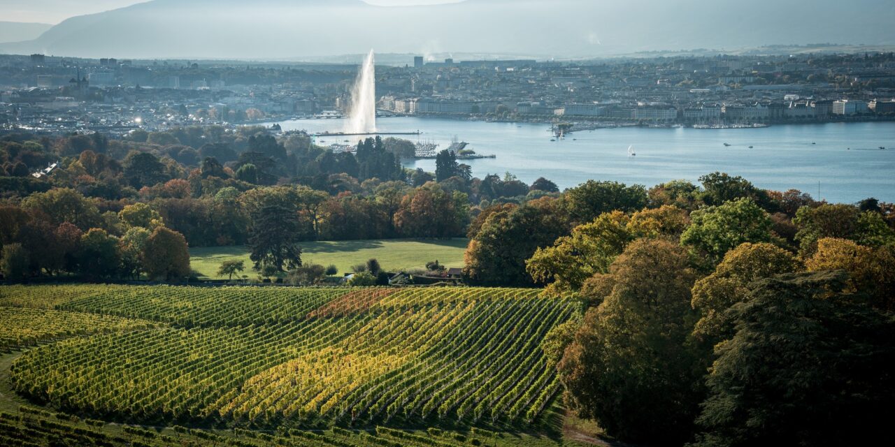 La Tour Genève Triathlon : Léman de velours