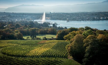 La Tour Genève Triathlon : Léman de velours