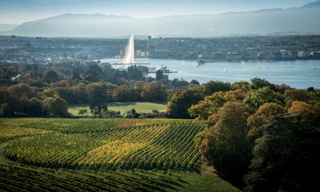 La Tour Genève Triathlon : Léman de velours
